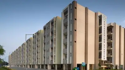 Wave Executive Floors