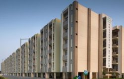 Wave Executive Floors